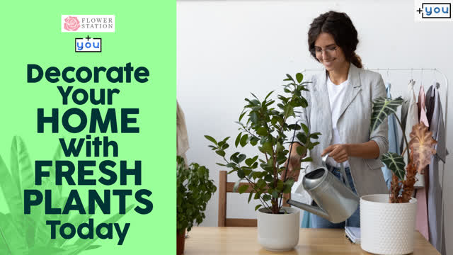 Shopping Videos Crossword