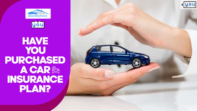 Shopping Videos Quiz